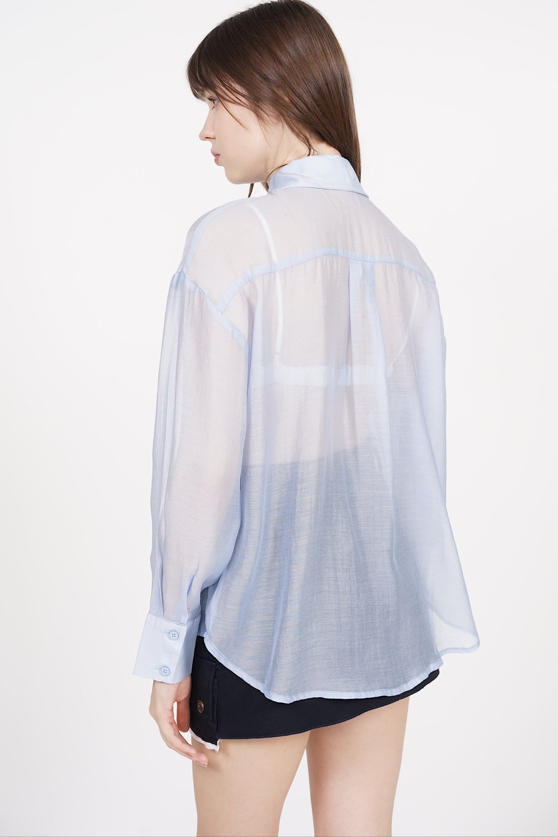 Sheer Blouse Long Sleeve Top in Blue