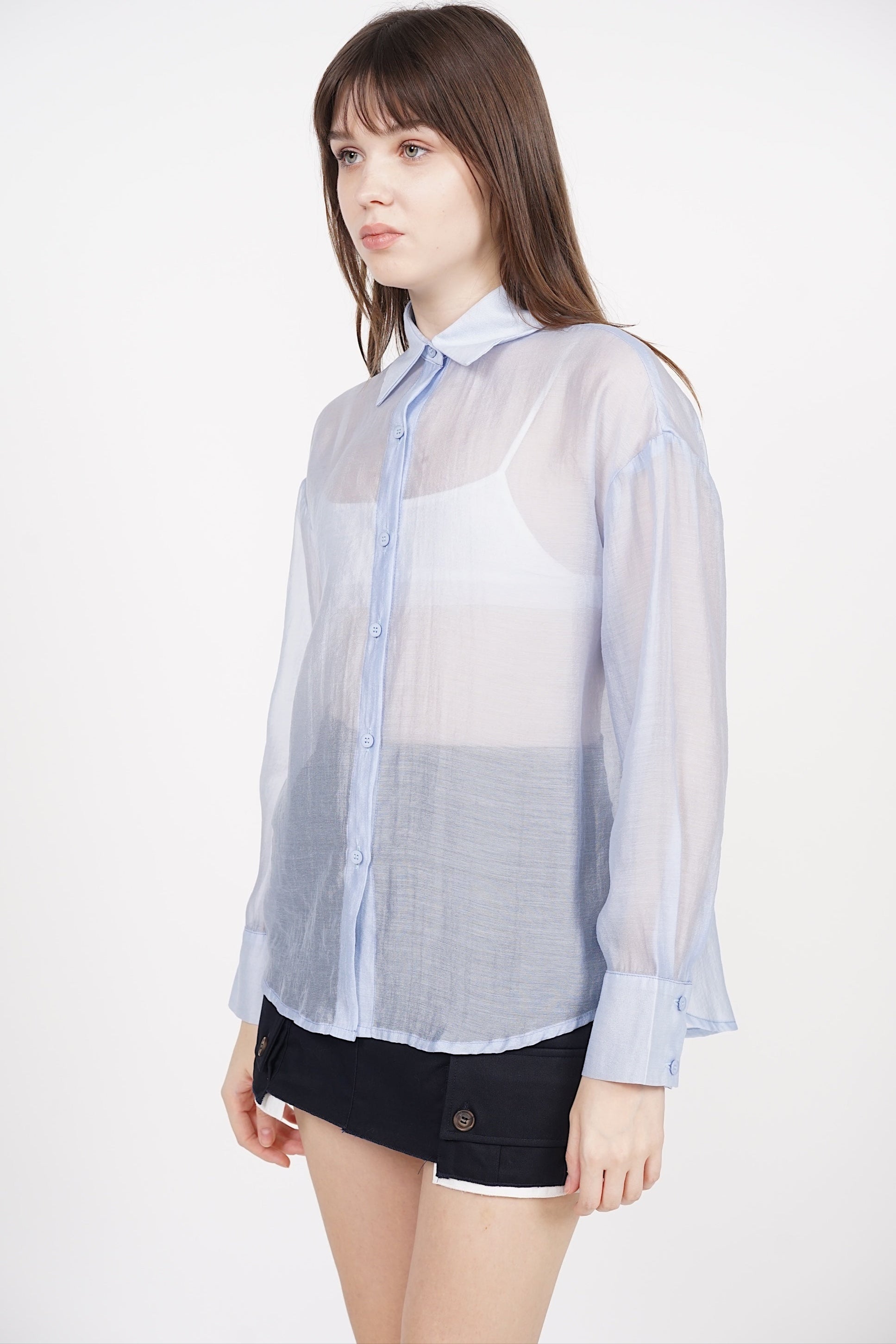 Sheer Blouse Long Sleeve Top in Blue